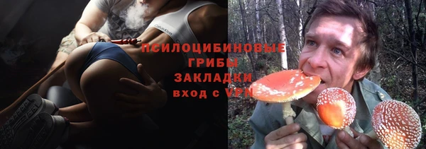 трава Алзамай