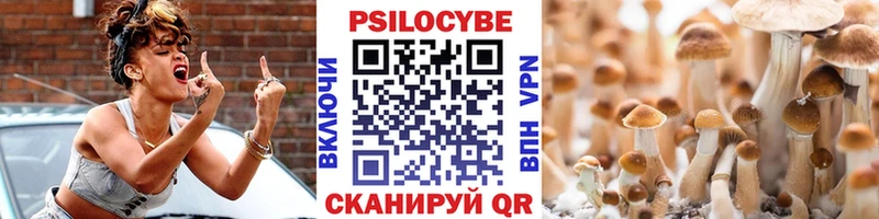 продажа наркотиков  Боровск  Псилоцибиновые грибы Magic Shrooms 